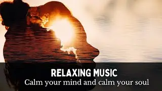 🌼Relaxing music - Aerohead - HAVEN (no copyright)
