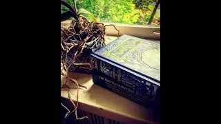The Path from Brokenness to God: 20th Sunday after Pentecost- Proper 25, Year C, Track 2