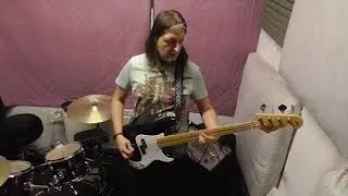 The Offspring - She's got issues - bass cover