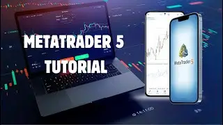 How To Use METATRADER 5 In 5 Minutes