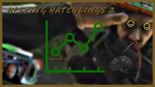 Helping Hatchlings 2
