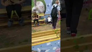 Лапы и уши -1 #дети