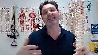 Is Chronic Back Pain Stressing You Out? Here’s How to Deal