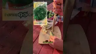 Малосольные огурцы быстрый рецепт #дача #лайфхаки #сад #огород #garden #рецепт