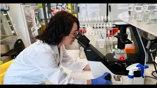 Million-dollar US Department of Defense grant for Peter Mac melanoma research