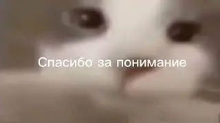 ЧТО ВЫСТАВИЛИ НОВЫЙ ДИГЛ АУРЕЙТ😱😱😱