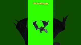 Green Screen Animation - Dragon 