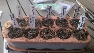 Starting tomato seeds for the 2023 Summer Season