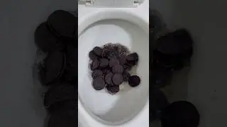 Experiment: Flushing OREOS in Toilet #shorts