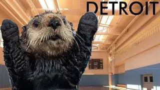 PUT YOUR HANDS UP FOR DETROIT