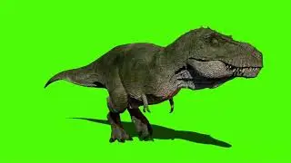 GREEN SCREEN T-REX DINOSAUR ANIMATED HD  | FREE TO USE GRAPHICS ANIMATIONS