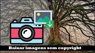 6 sites para baixar imagens sem direitos autorais - sem copyright