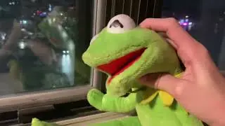 Kermit The Frog Kills Me.