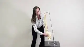 Posture and Low Back Pain