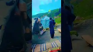 #amazing #kashmir #short #virel #vifeo #beautiful #short #clips