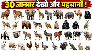 30 Wild Animals for Kids | Animal Names & Sounds | Kids Vocabulary