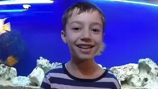 Давид и Даня, веселятся с вами!