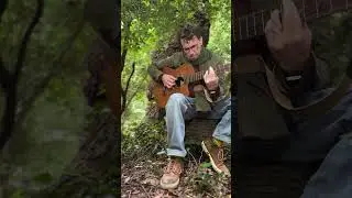 Scrimshire - Hazel acoustic version in the woods