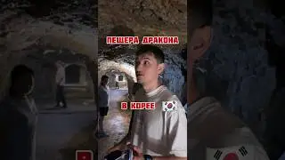 СЕКРЕТНАЯ ПЕЩЕРА ДРАКОНА #koreavlog #корея #жизньвкорее #южнаякорея #кореявлог
