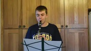 Technical Excerpt