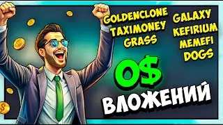 7 проектов с заработком | БЕЗ ВЛОЖЕНИЙ | DOGS | MEMEFI