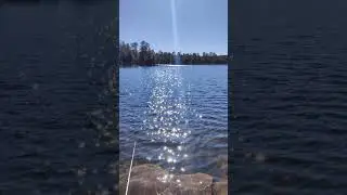 is this heaven? #shorts #heaven #fishing #lake