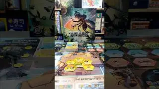 Where’d the bees go? Space. They went to space. 🐝🚀🪐#boardgames #games #tabletop
