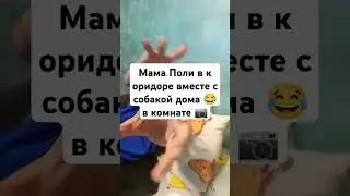 8 мая 2024 г.