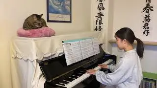 雨上がりにもう一度キスをして　　　　　　　サザンオールスターズ                                     ピアノ　〜猫と一緒〜