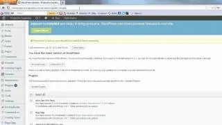 PSD Video Tip #13: Update your WordPress plugins easily with this special URL