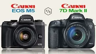 Canon EOS M5 vs Canon EOS 7D Mark II