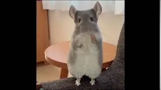 О, привет!