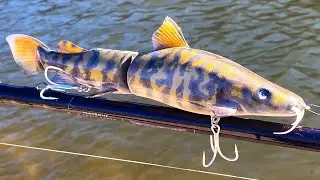 Making a FlatHead CatFish SwimBait