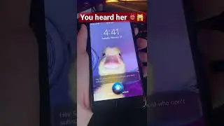 You heard her 🙀🙀