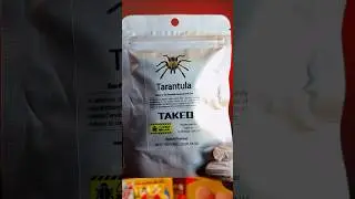 I BOUGHT A TARANTULA!