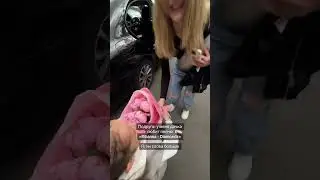 Ради её улыбки