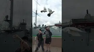 Санкт-Петербург. У крейсера "Аврора"