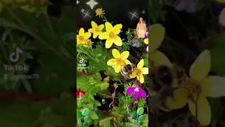 Всем добра!!!