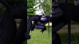 ultimate Spidermonkey transformation in real life . ben10 ultimate Spidermonkey transformation.