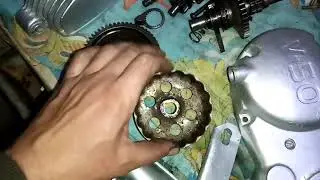 Дельта ДЕЛЬТОВНА! Потихоньку восстанавливается!