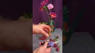 Как укоренить хризантему из букета