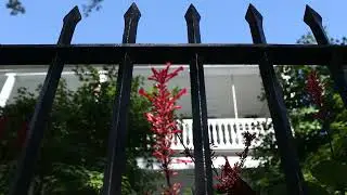 Charleston's first suburbs: the urban villas of Mazyck-Wraggborough