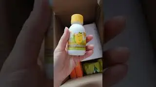 Обзор заказа 14 каталога