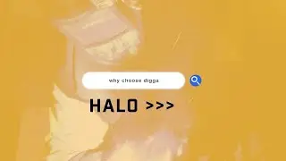 Why Choose Digga - HALO