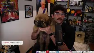 HasanAbi reveals new puppy
