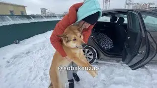 Маша из приюта «Щербинка» уехала домой! Проект Помощи 