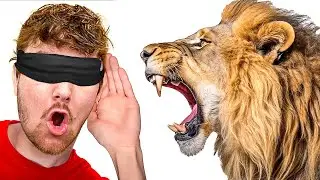 Can We Guess the Animal Sound?
