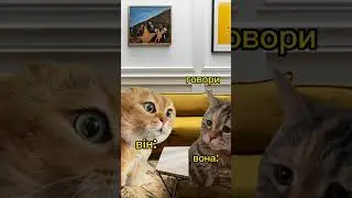 Трішки підняти вам настрій. #позитив#гумор#жарти#приколы