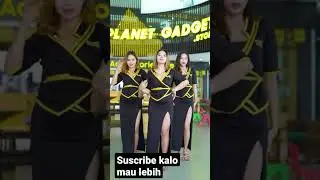 Megan planet gadget nih boss 