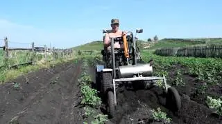 Микротрактор "Холмогорец", окучивание картошки.